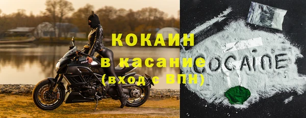 сатива Волосово