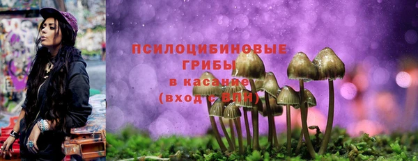 сатива Волосово