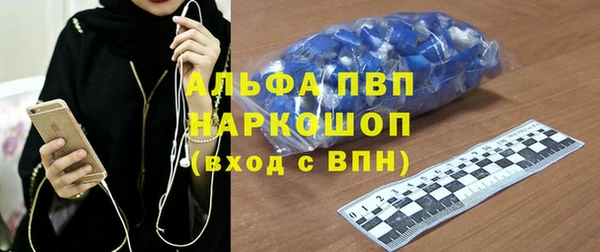 сатива Волосово