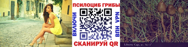 Псилоцибиновые грибы MAGIC MUSHROOMS  Кызыл 